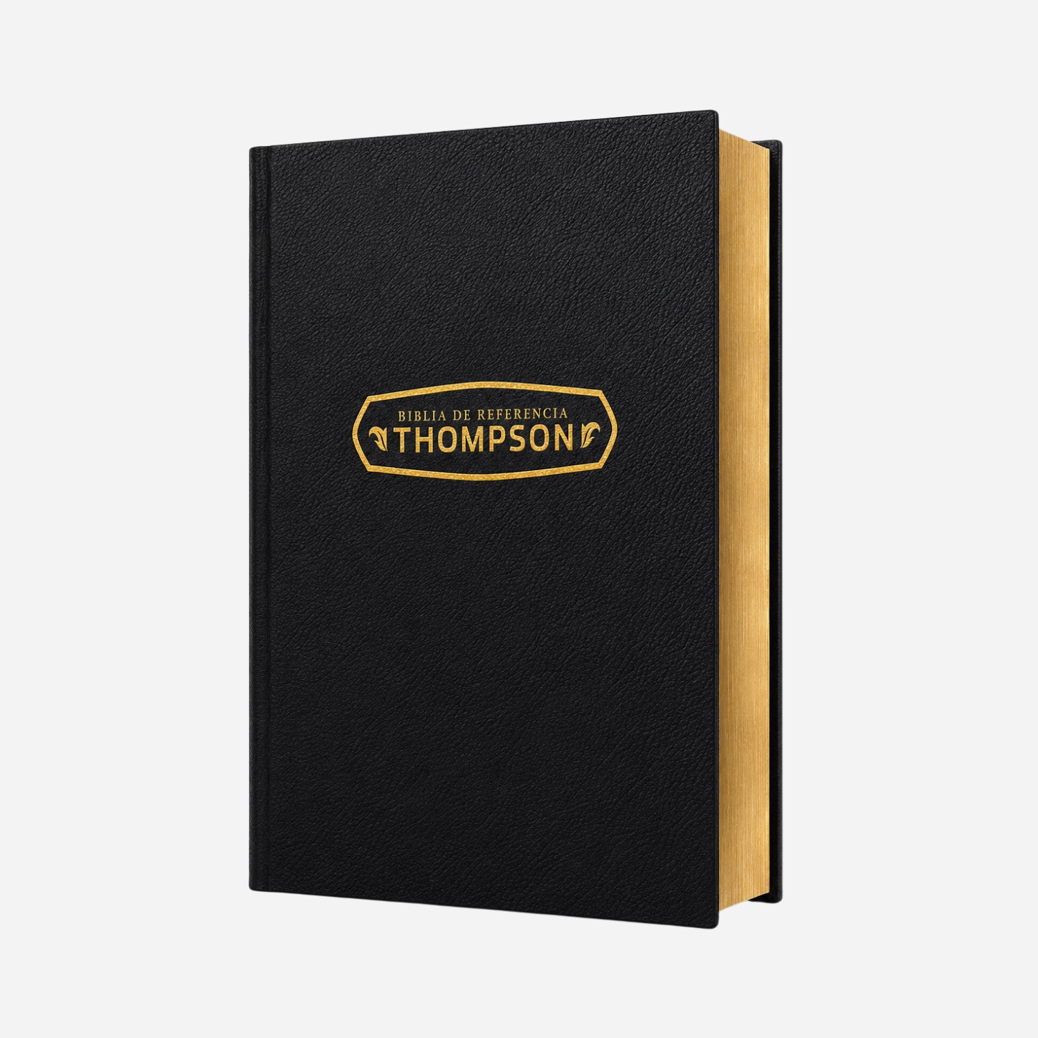 Biblia de Referencia Thompson RVR1960 - Imagen 3